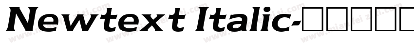 Newtext Italic字体转换